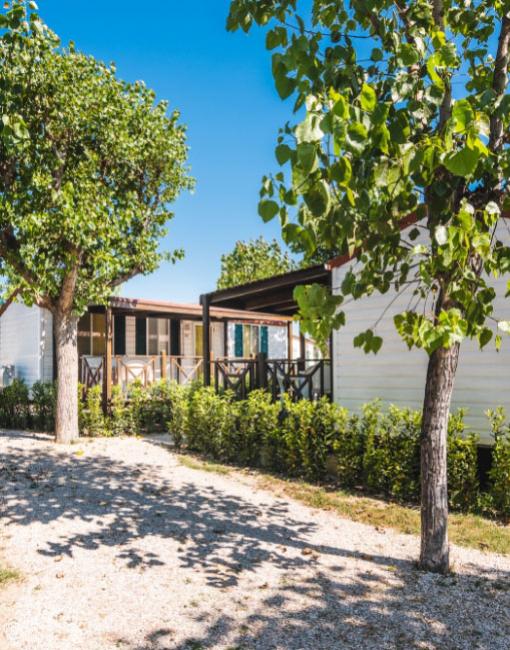 villaggiolemimose en offer-august-september-camping-in-the-marche-near-the-sea 004